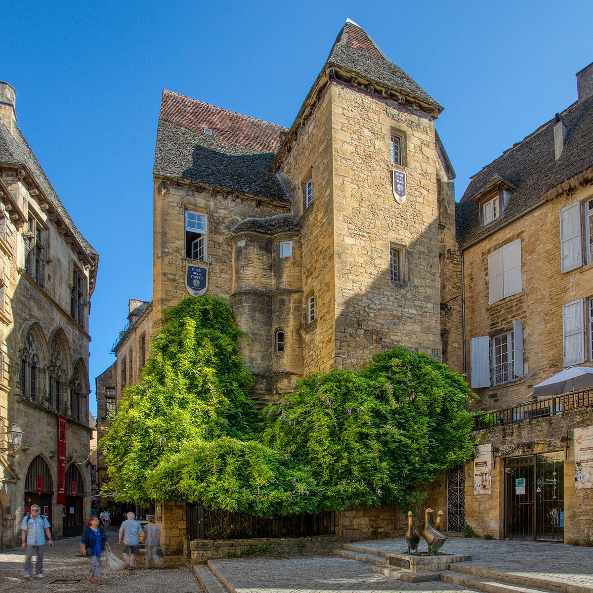 Musée de la Truffe