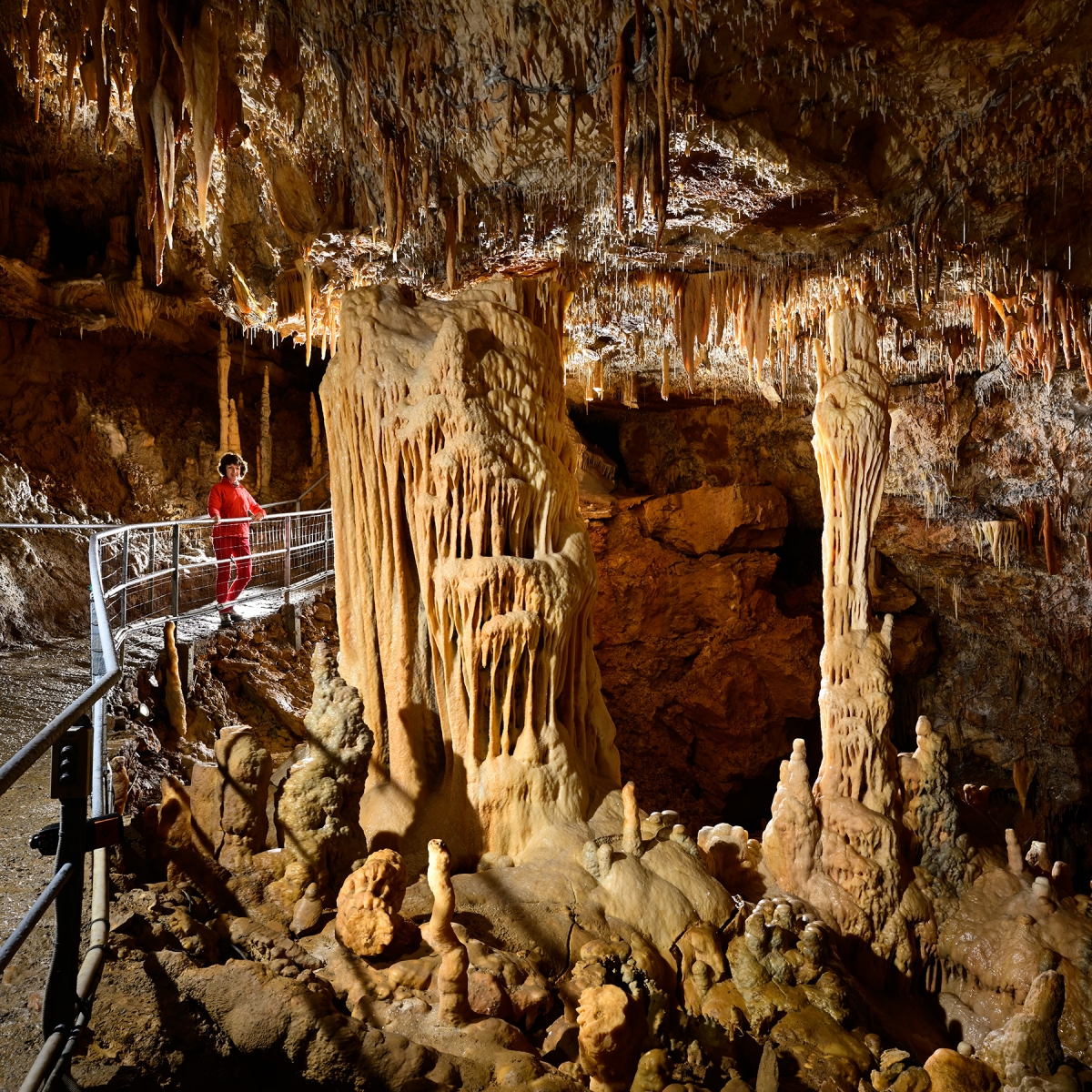 Grotte Préhistorique de Foissac